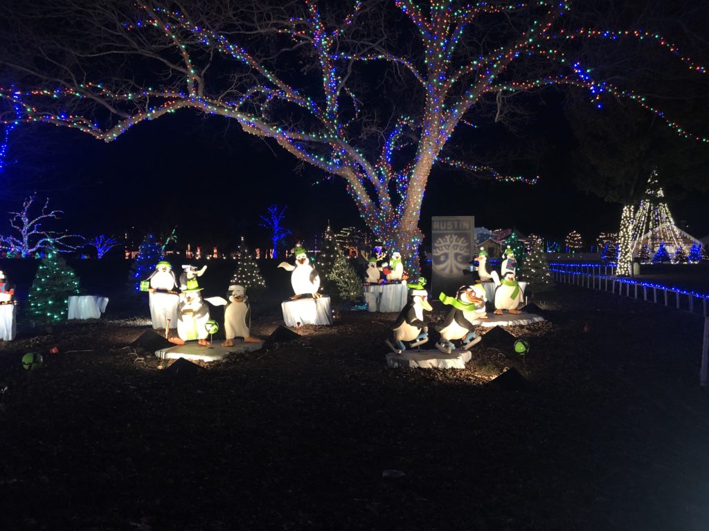 Austin FC section of the 2018 Austin Trail of Lights