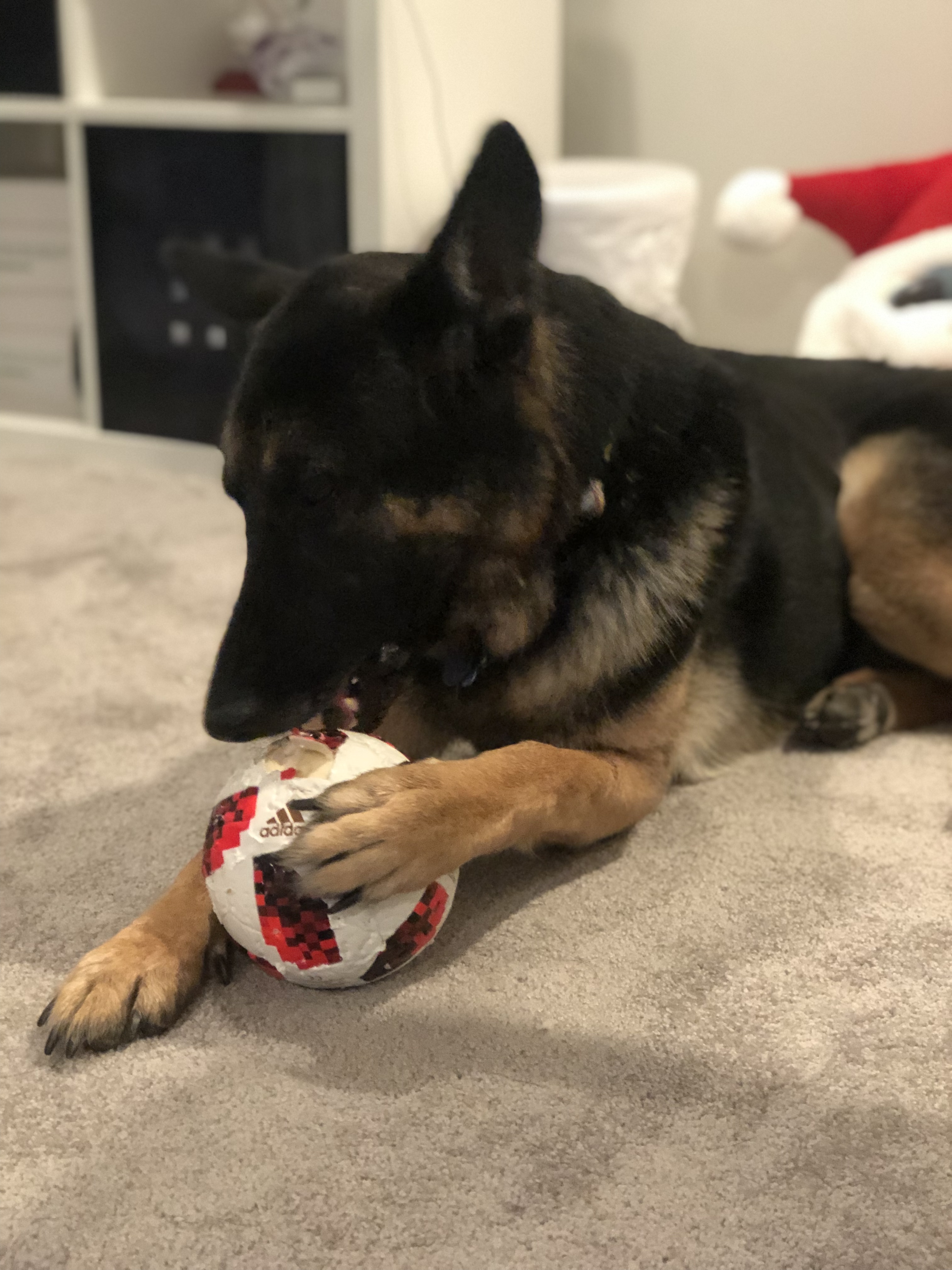Jeter eating a soccer ball