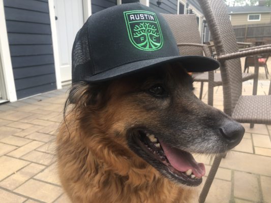 Dogs and Austin FC - perfect together